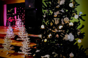 Senioru Ziemassvētki 2017